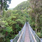 Landscapes-NZ-009.JPG